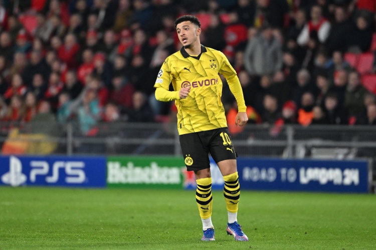 球并奉献, 施泰登表示, 多特出场